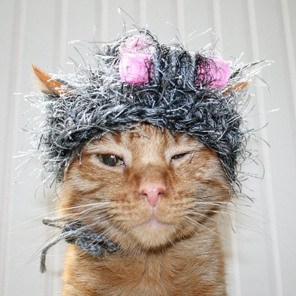 HAND CRAFTED Granny Hair Curlers Cat Hat Crochet Gray Hairy Wig Costume
